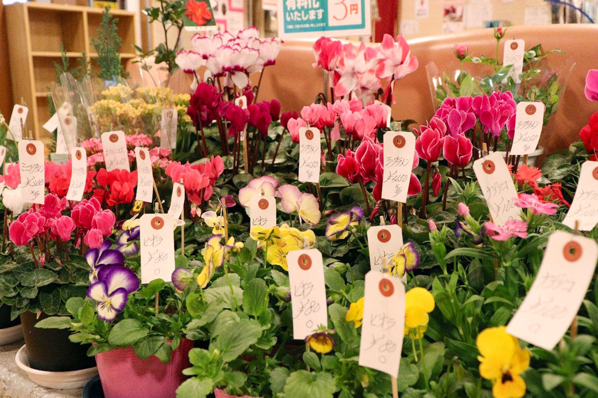 花の湯 売られているお花